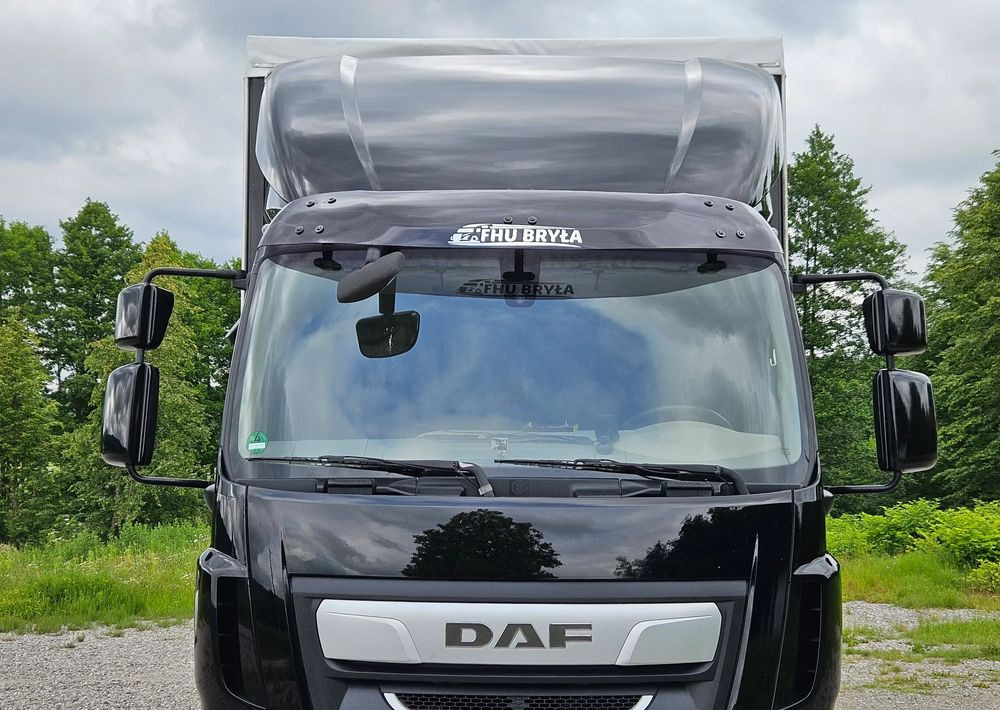 DAF LF 290/WINDA/16TON DMC/FIRANKA/AUTOMAT/16TON DMC/JEDEN WŁAŚCICIE/EURO 6/2019/SPROWADZONY/20PALET/NISKI PRZEBIEG/DUŻA ŁADOWNOŚĆ/JAK NOWY - Curtainsider truck: picture 5 DAF LF 290/WINDA/16TON DMC/FIRANKA/AUTOMAT/16TON DMC/JEDEN WŁAŚCICIE/EURO 6/2019/SPROWADZONY/20PALET/NISKI PRZEBIEG/DUŻA ŁADOWNOŚĆ/JAK NOWY - Curtainsider truck: picture 5