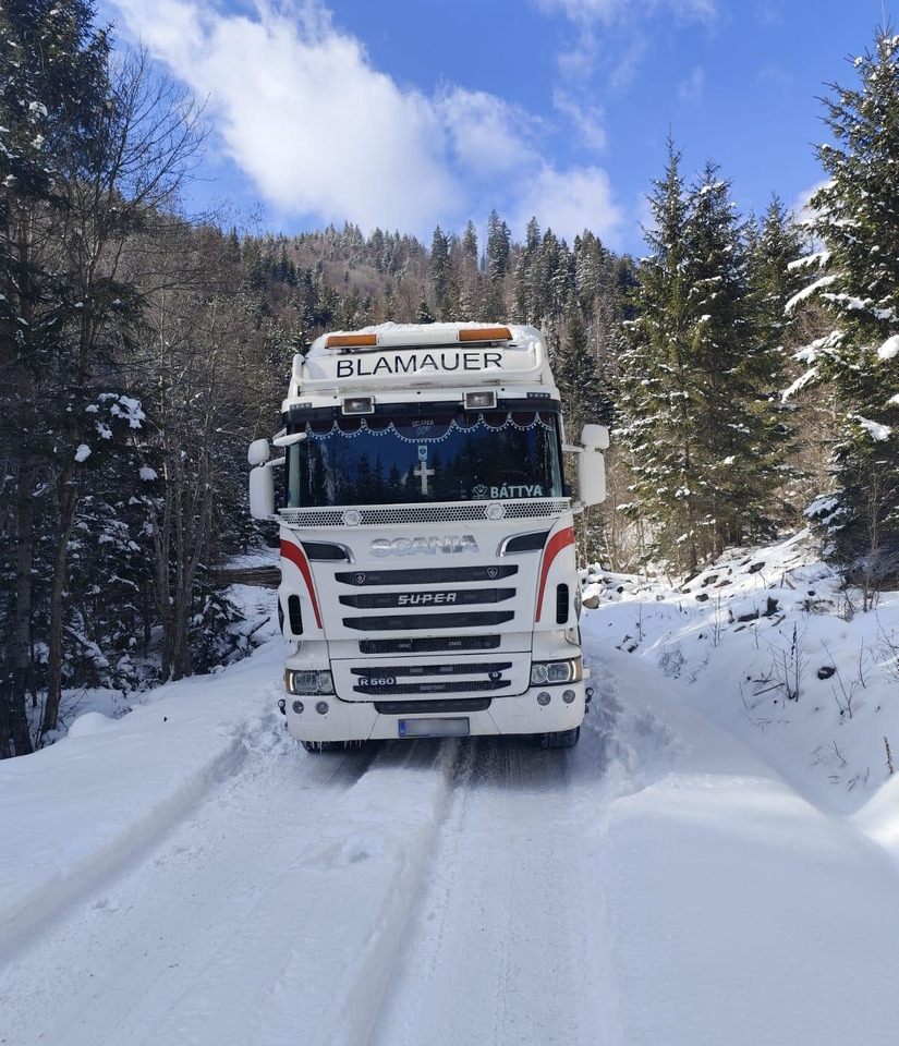 SCANIA R560 V8 - Log truck, Crane truck: picture 4 SCANIA R560 V8 - Log truck, Crane truck: picture 4