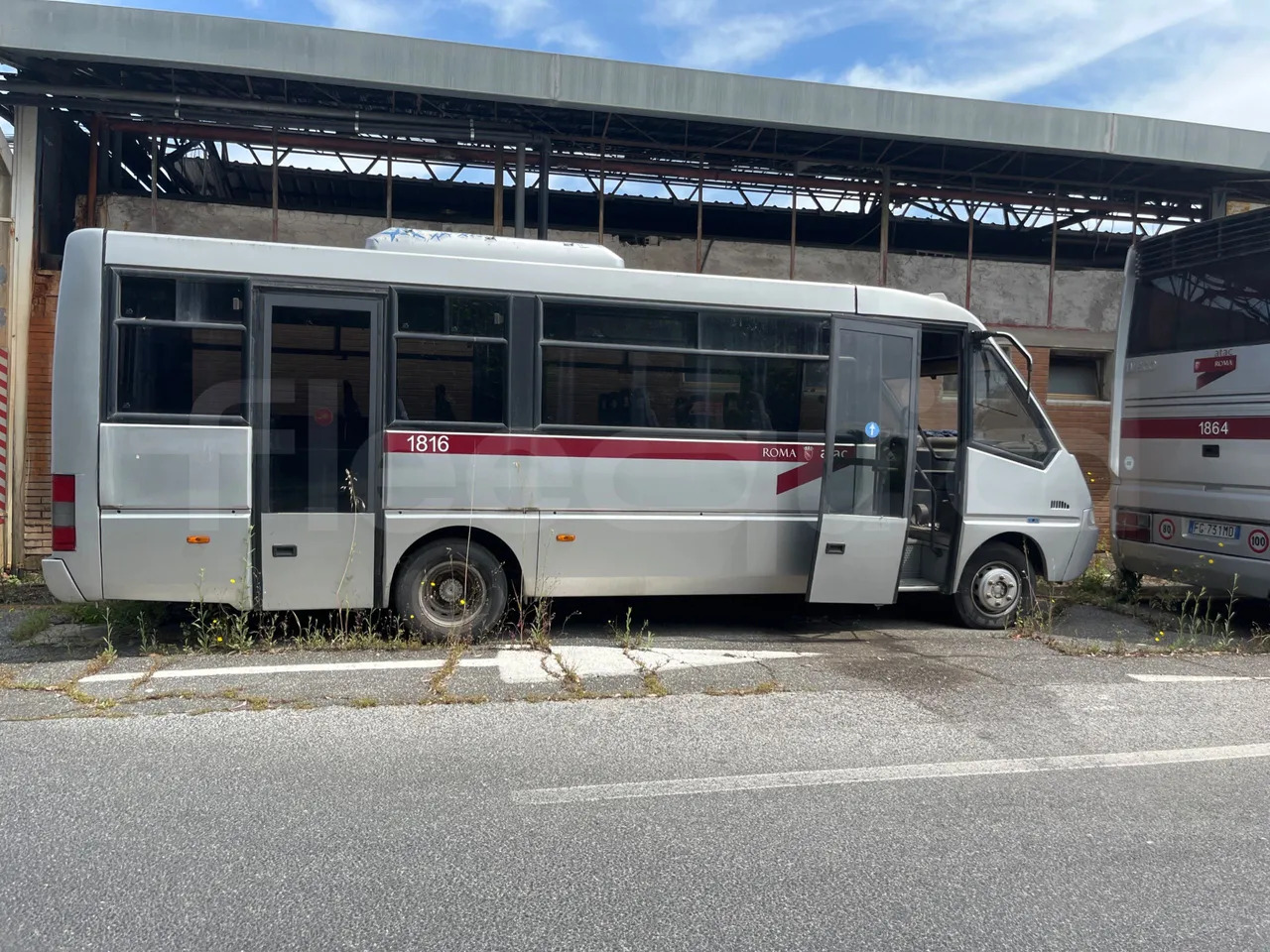 Iveco Cacciamali - School bus: picture 5 Iveco Cacciamali - School bus: picture 5