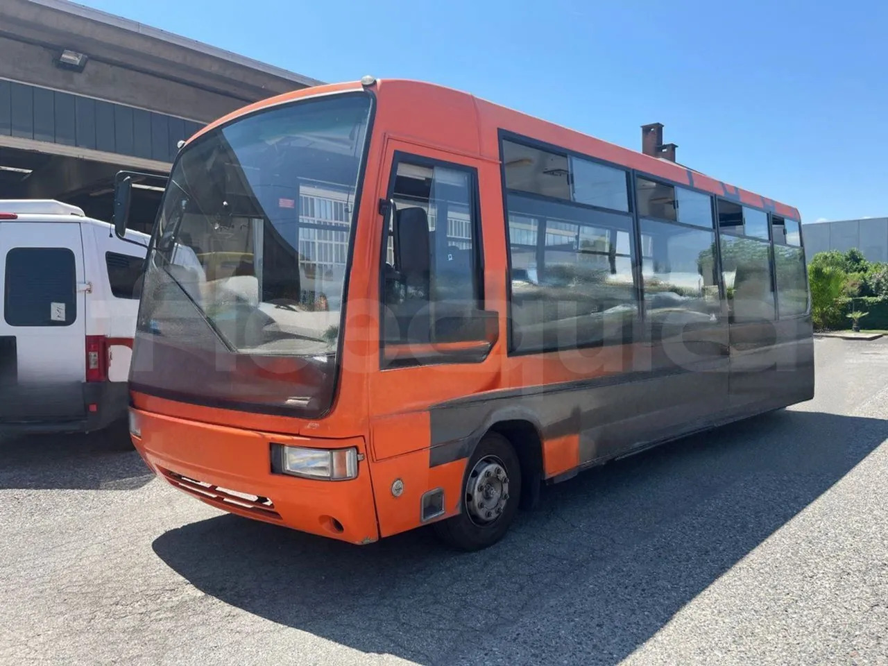 Iveco Cacciamali - School bus: picture 4 Iveco Cacciamali - School bus: picture 4