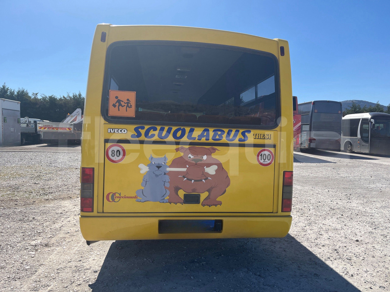 Iveco Cacciamali - School bus: picture 5 Iveco Cacciamali - School bus: picture 5