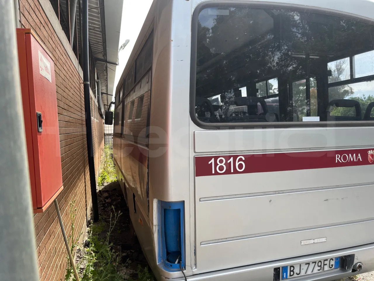 Iveco Cacciamali - School bus: picture 4 Iveco Cacciamali - School bus: picture 4