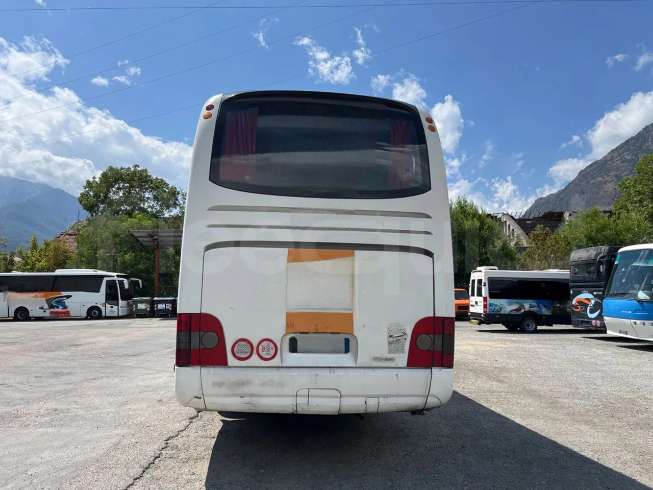 Man Lion's Coach - Coach: picture 5 Man Lion's Coach - Coach: picture 5