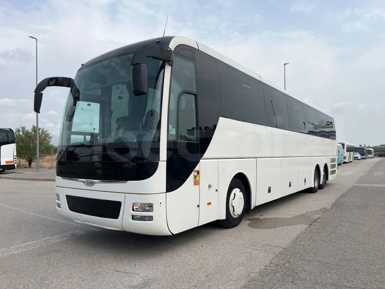Man Lion's Coach - Coach: picture 4 Man Lion's Coach - Coach: picture 4