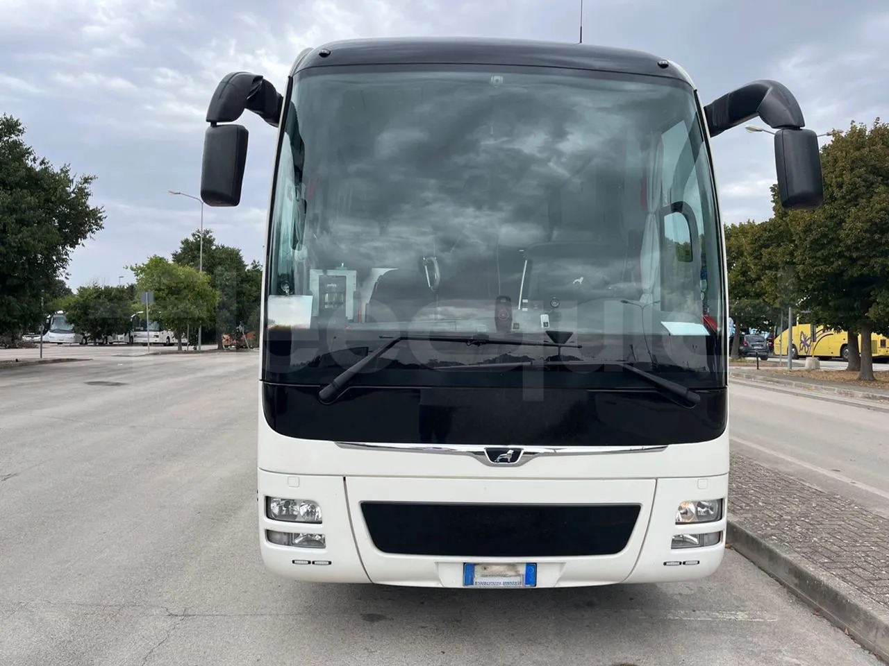 Man Lion's Coach - Coach: picture 2 Man Lion's Coach - Coach: picture 2