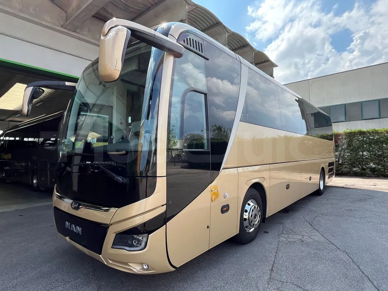 Man Lion's Coach - Coach: picture 4 Man Lion's Coach - Coach: picture 4