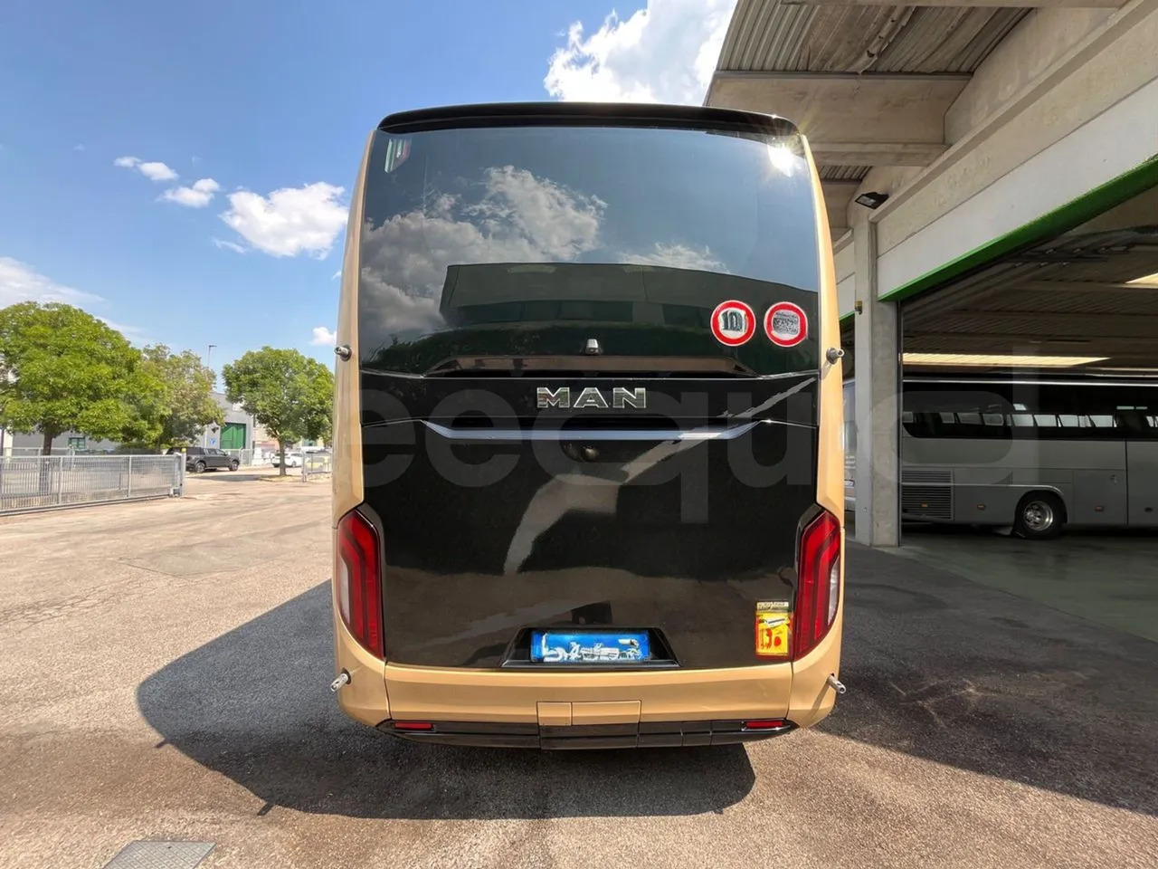 Man Lion's Coach - Coach: picture 5 Man Lion's Coach - Coach: picture 5