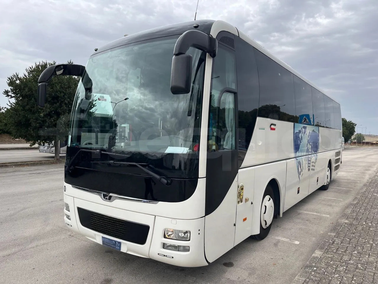 Man Lion's Coach - Coach: picture 4 Man Lion's Coach - Coach: picture 4