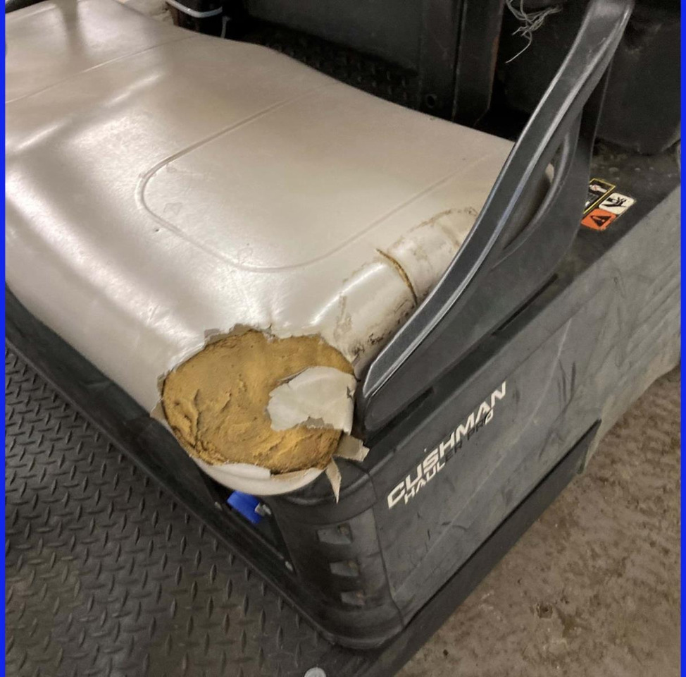Golf cart Cushman Hauler Pro 3335386: picture 16