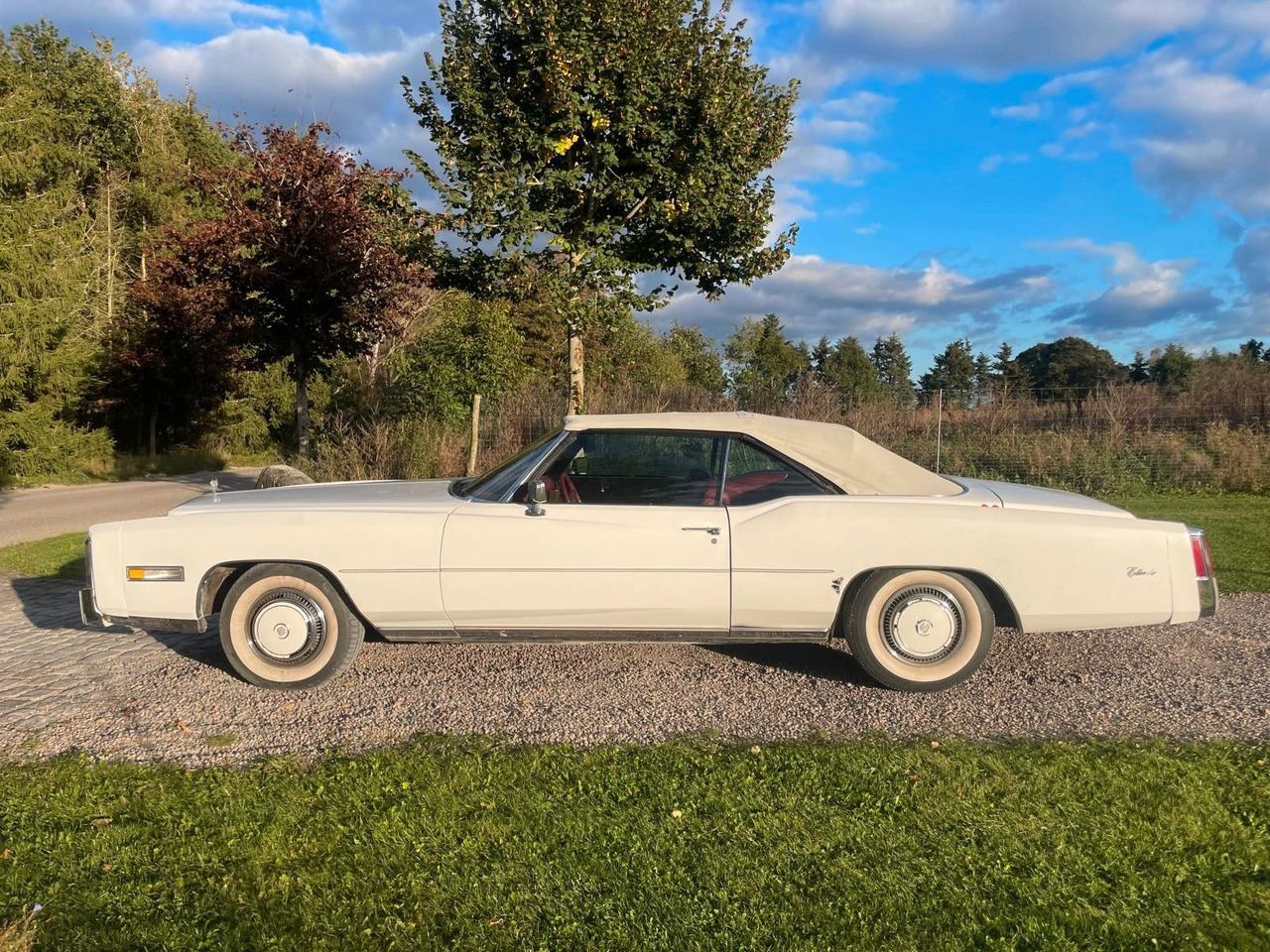 Cadillac Eldorado Convertible - Convertible: picture 2 Cadillac Eldorado Convertible - Convertible: picture 2