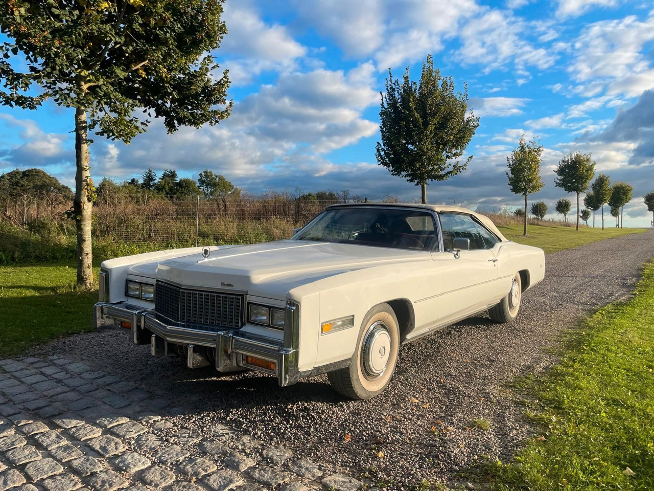 Cadillac Eldorado Convertible - Convertible: picture 1 Cadillac Eldorado Convertible - Convertible: picture 1
