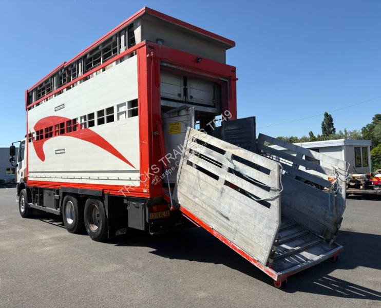 DAF CF85 360 - Livestock truck: picture 4 DAF CF85 360 - Livestock truck: picture 4