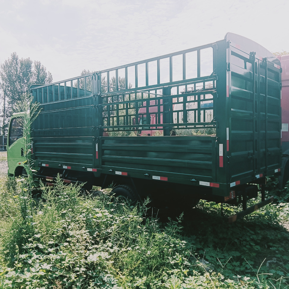 Truck SINOTRUK HOWO: picture 6