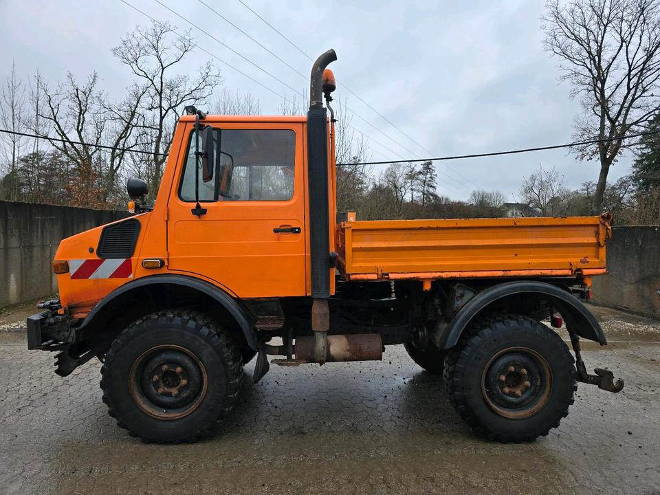 Unimog U1400 Agrar bj. 1995 424 427/10 Mercedes-Benz 1400 1600 1200 1000 - Tipper, Municipal/ Special vehicle: picture 5 Unimog U1400 Agrar bj. 1995 424 427/10 Mercedes-Benz 1400 1600 1200 1000 - Tipper, Municipal/ Special vehicle: picture 5