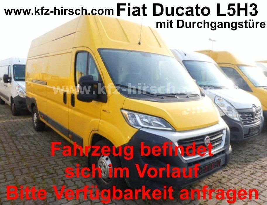Fiat Ducato Maxi L5H3 Durchgangstüre Regale HOCHDACH - Panel van: picture 1 Fiat Ducato Maxi L5H3 Durchgangstüre Regale HOCHDACH - Panel van: picture 1