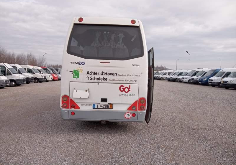 Suburban bus Temsa opalin 9 2 SZTUKI IDENTYCZNE: picture 10