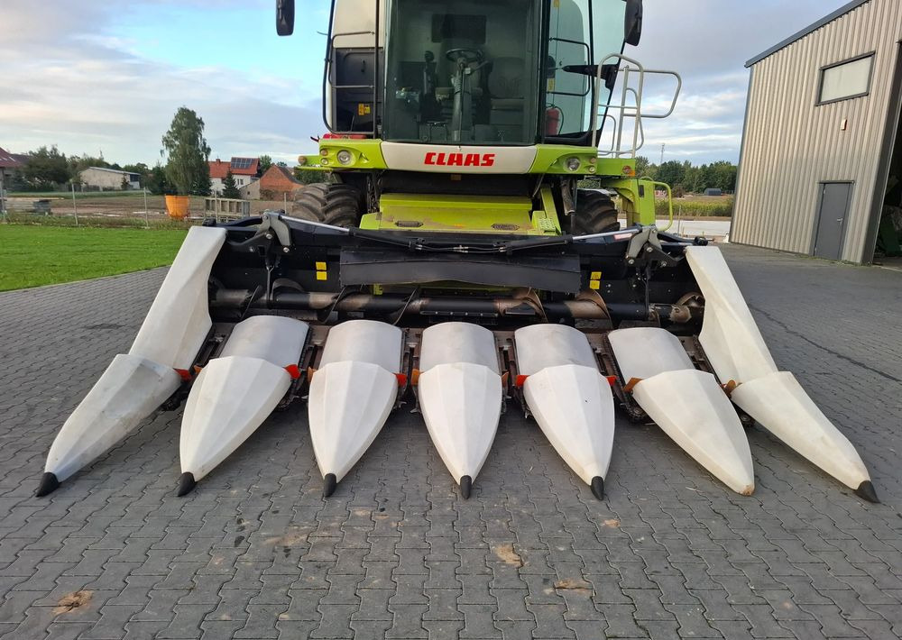 Corn header Oros Cornado 6 rzędowy , 2014 rok, Nie Malowany, Stan Bardzo Dobry: picture 12