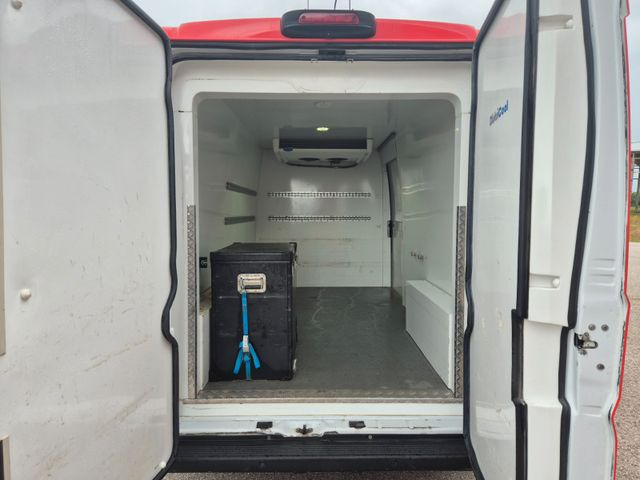Fiat Ducato Refrigerated Van leasing Fiat Ducato Refrigerated Van: picture 13