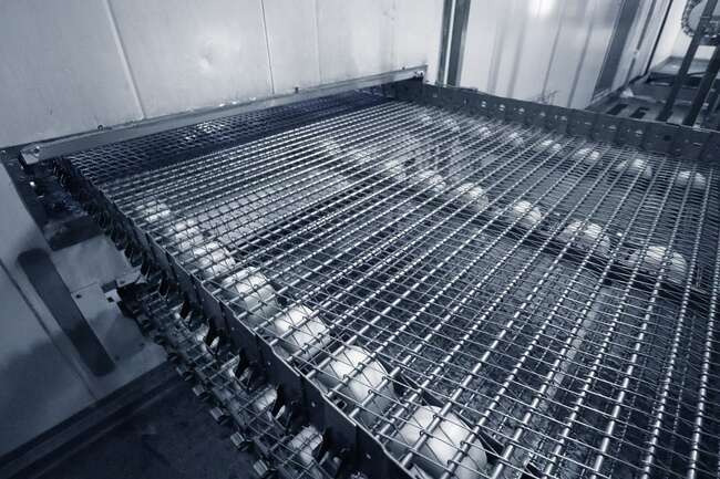 Frigoscandia spiral freezer GCM106-08-36-40 EE CCR - Food processing equipment: picture 5 Frigoscandia spiral freezer GCM106-08-36-40 EE CCR - Food processing equipment: picture 5