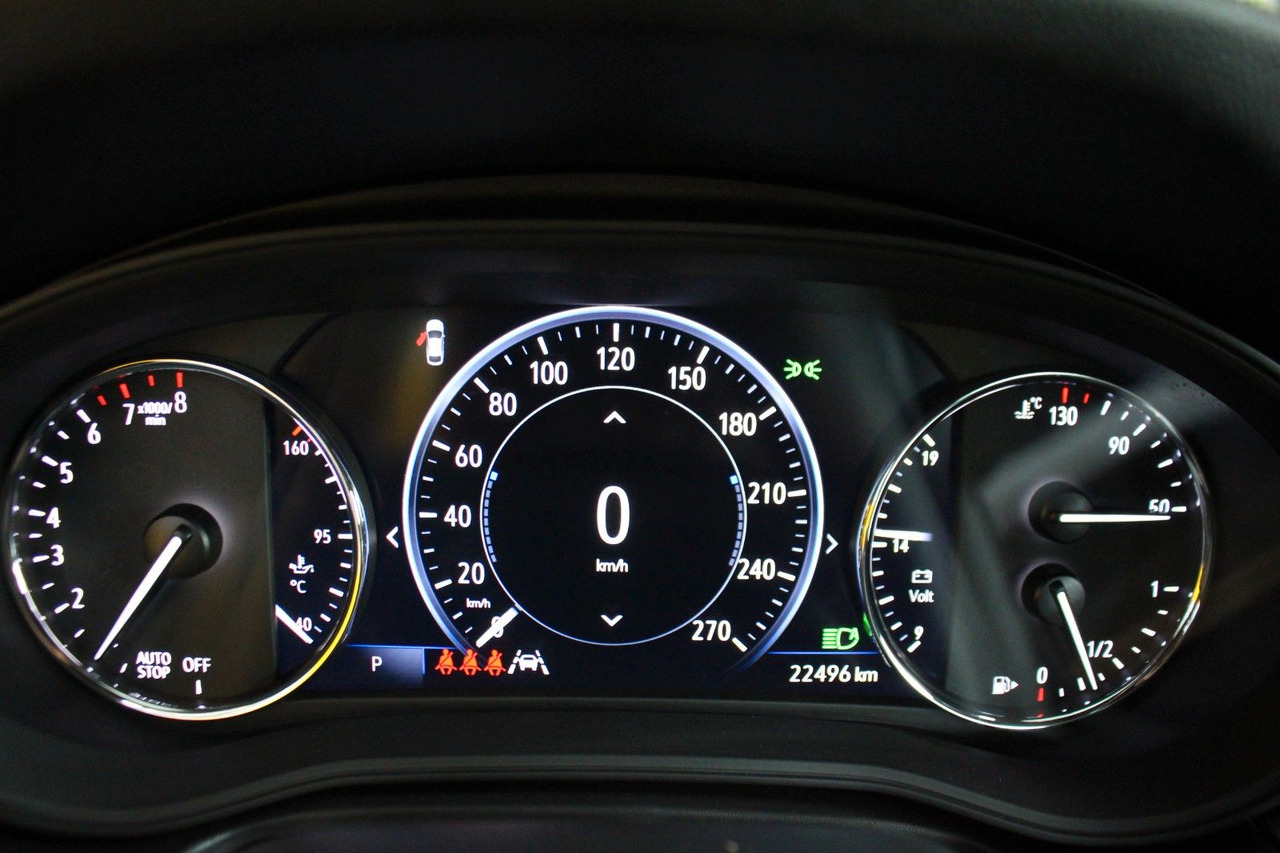 Car Opel Insignia B Navi SHZ Elegance IntelliLux LED: picture 15
