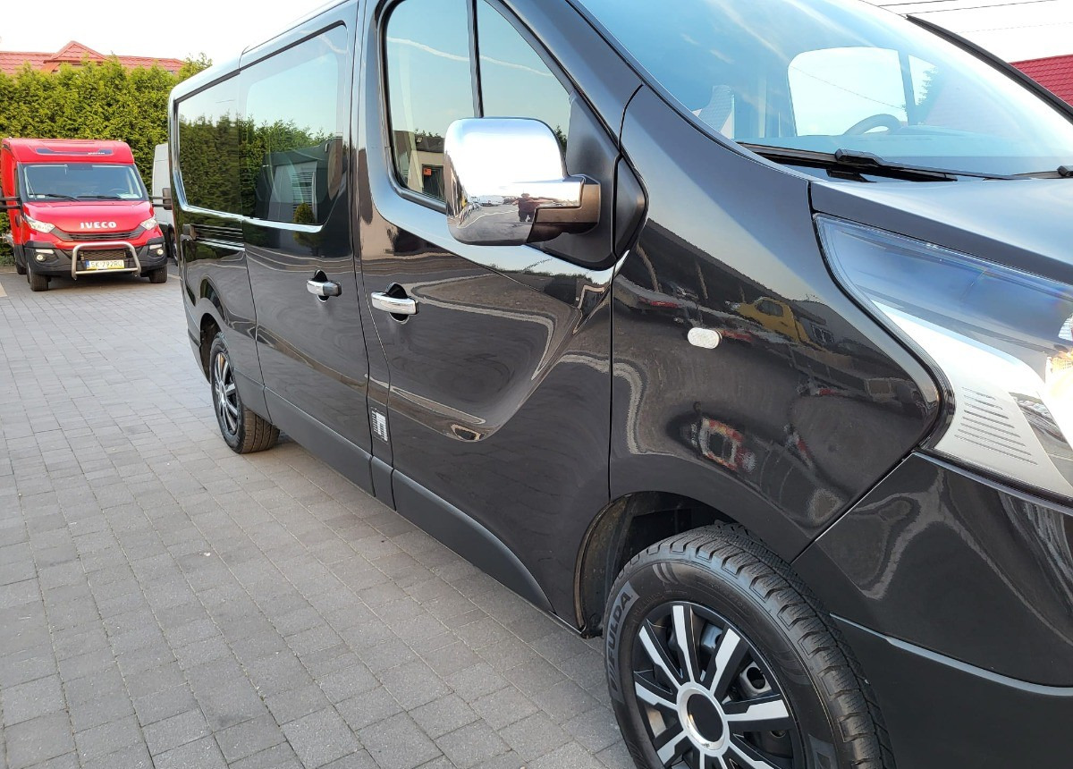 Combi van Renault Trafic Long doka 6-osobowy 6 osobowy: picture 20