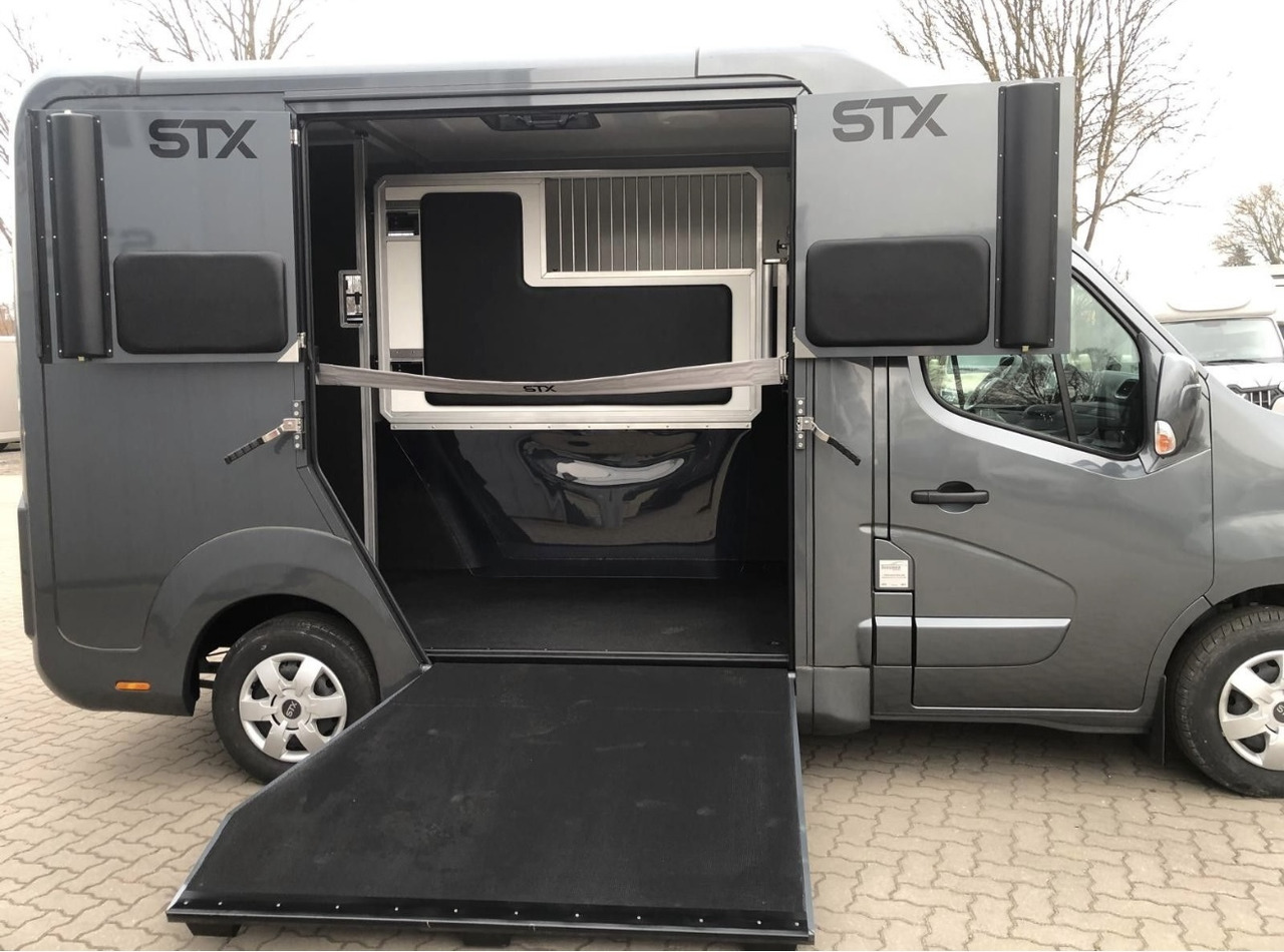 RENAULT Master - Horse truck: picture 4 RENAULT Master - Horse truck: picture 4