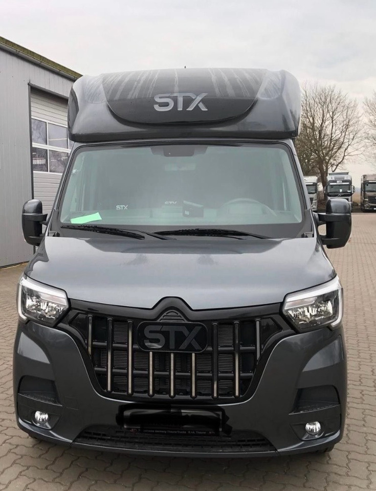 RENAULT Master - Horse truck: picture 2 RENAULT Master - Horse truck: picture 2