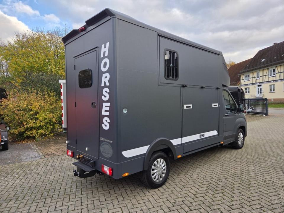 MSG Stablehopper Pferdetransporter Pferdeanhänger Böckmann - Horse truck: picture 3 MSG Stablehopper Pferdetransporter Pferdeanhänger Böckmann - Horse truck: picture 3