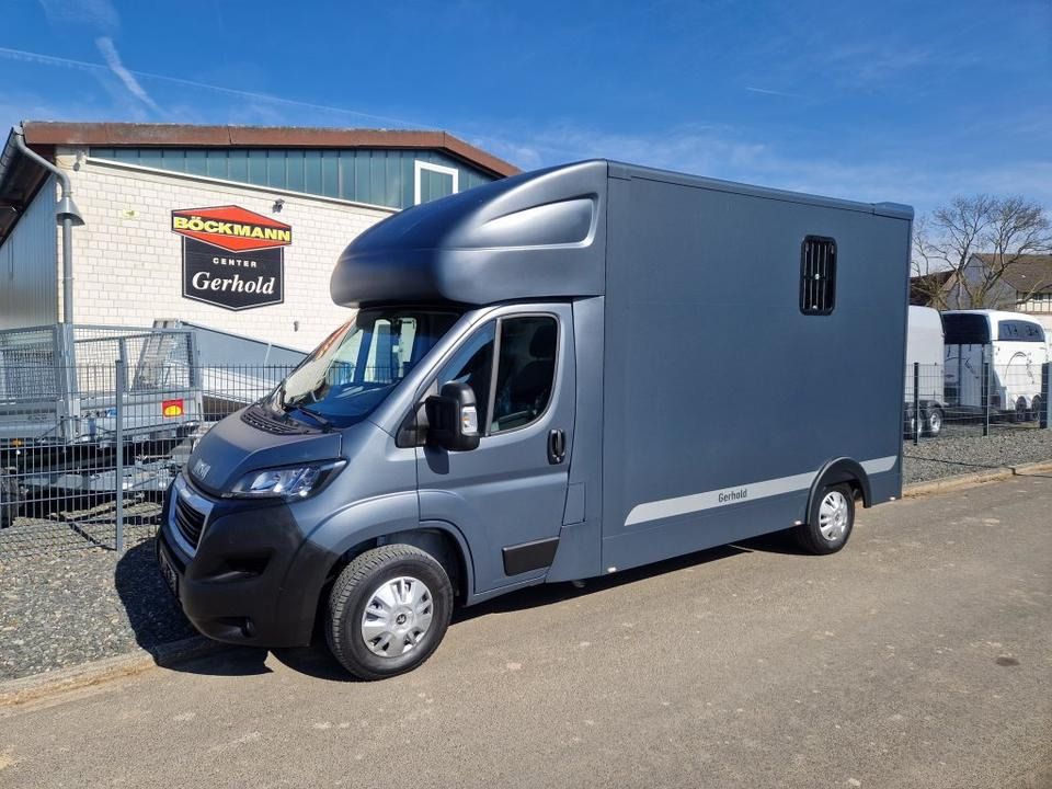 MSG Stablehopper Pferdetransporter Pferdeanhänger Böckmann - Horse truck: picture 2 MSG Stablehopper Pferdetransporter Pferdeanhänger Böckmann - Horse truck: picture 2