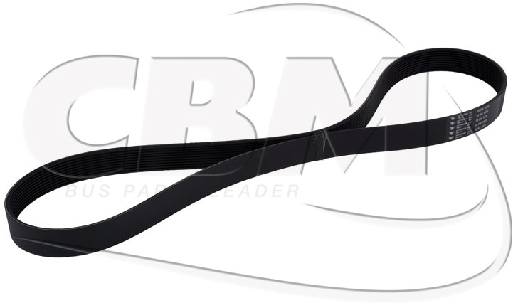 HUTCHINSON ALTERNATOR BELT - MERCEDES MAN (A0003531720 | 81351070056) - Belt for Bus: picture 1 HUTCHINSON ALTERNATOR BELT - MERCEDES MAN (A0003531720 | 81351070056) - Belt for Bus: picture 1