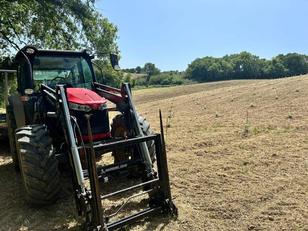 Massey Ferguson 5710 - Farm tractor: picture 2 Massey Ferguson 5710 - Farm tractor: picture 2