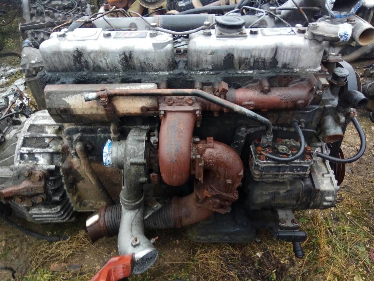 DAF ATI WS268 DAF ATI DAF 85 95 - Engine for Truck: picture 2 DAF ATI WS268 DAF ATI DAF 85 95 - Engine for Truck: picture 2