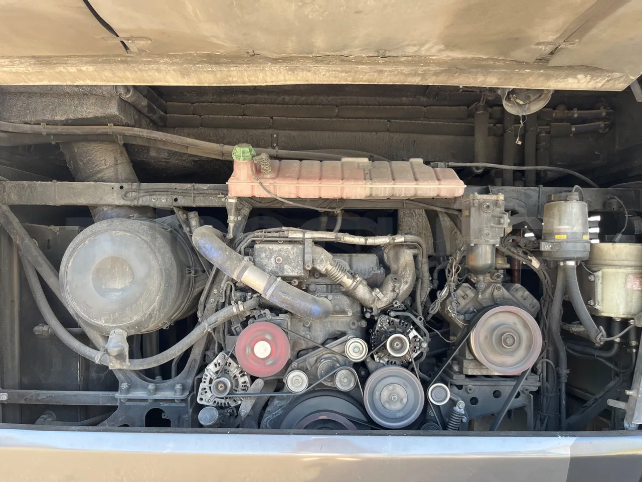 Coach Beulas Man Glory: picture 17