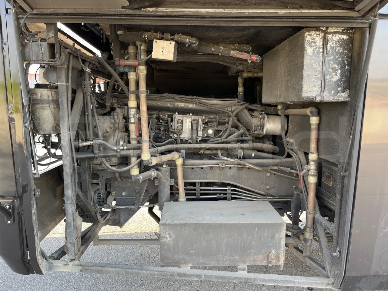 Coach Beulas Man Glory: picture 19