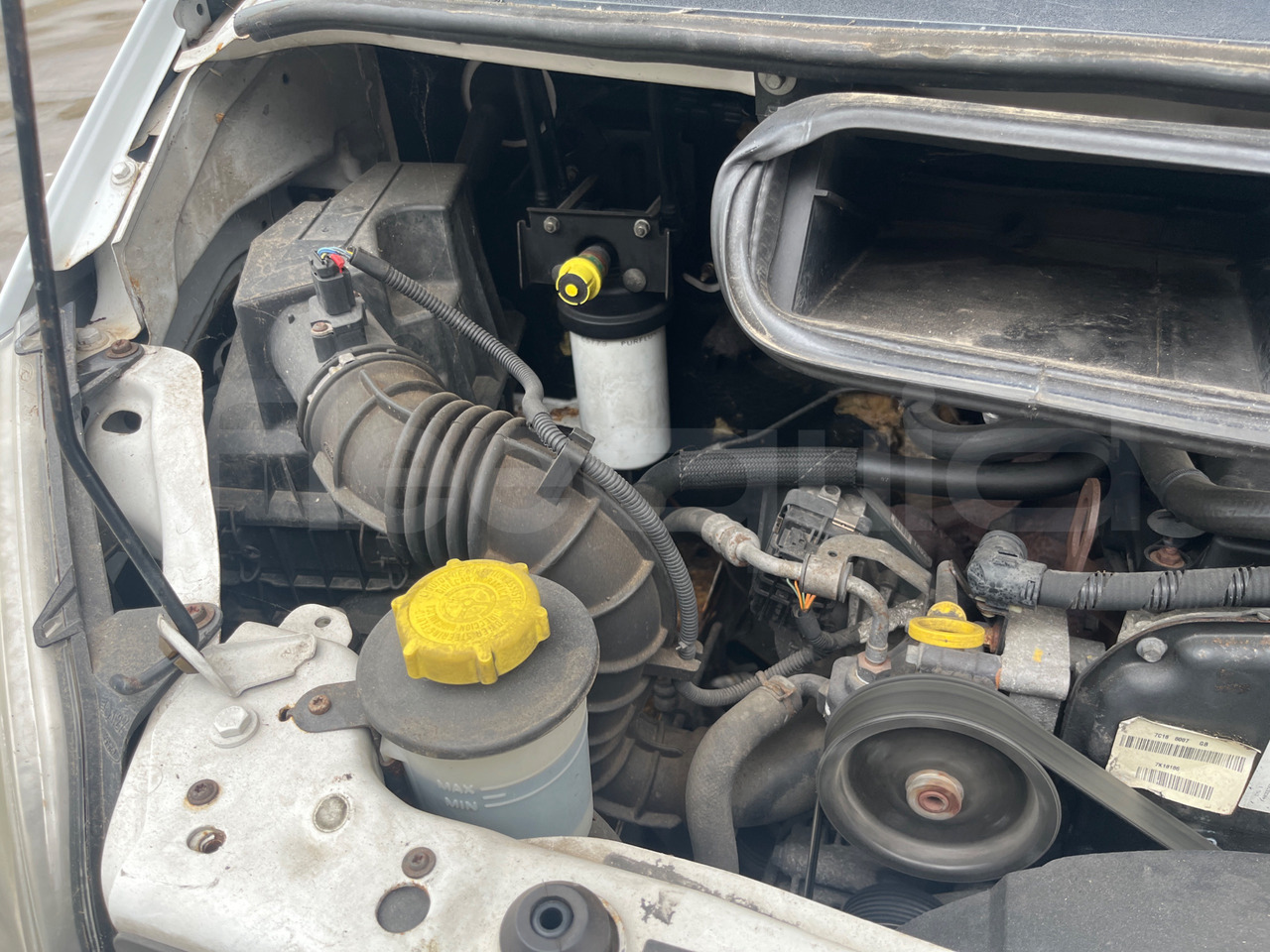 Minibus, Passenger van Ford Transit: picture 18