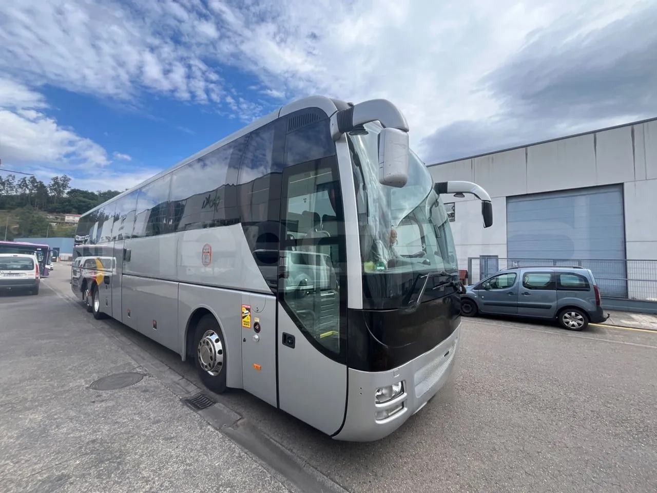 Man Lion's Coach - Coach: picture 1 Man Lion's Coach - Coach: picture 1