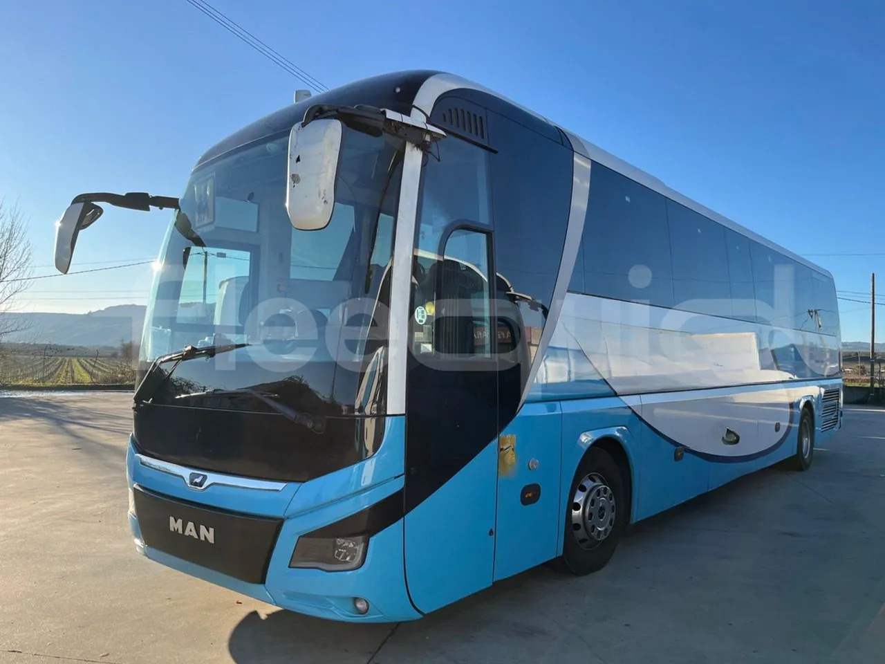 Man Lion's Coach - Coach: picture 4 Man Lion's Coach - Coach: picture 4