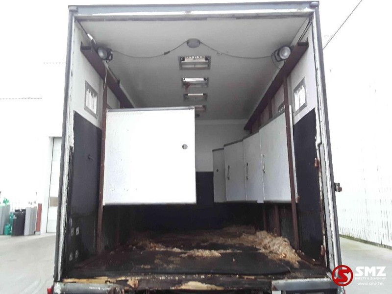 Livestock truck Iveco Magirus 80 16 horse truck: picture 11