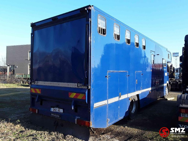 Livestock truck MAN 18.264: picture 7 Livestock truck MAN 18.264: picture 7