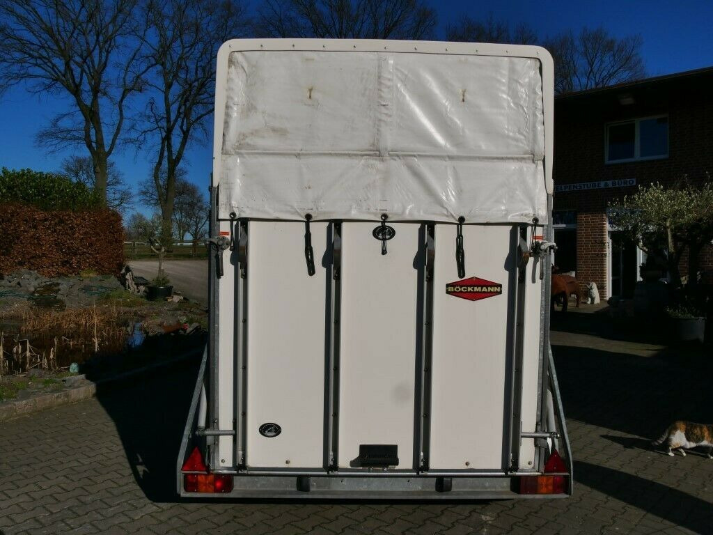 Böckmann Big Master Boden NEU Böckmann Big Master Boden NEU - Horse trailer: picture 3 Böckmann Big Master Boden NEU Böckmann Big Master Boden NEU - Horse trailer: picture 3