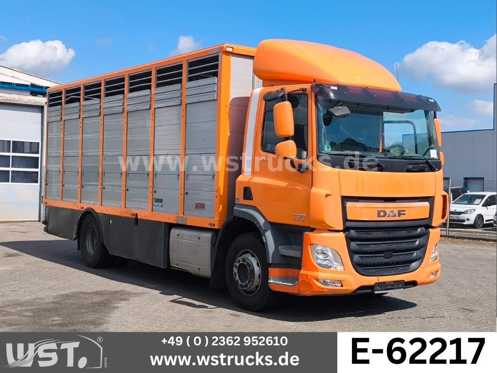 DAF CF 400 Menke Einstock Viehtransporter - Horse truck: picture 1 DAF CF 400 Menke Einstock Viehtransporter - Horse truck: picture 1