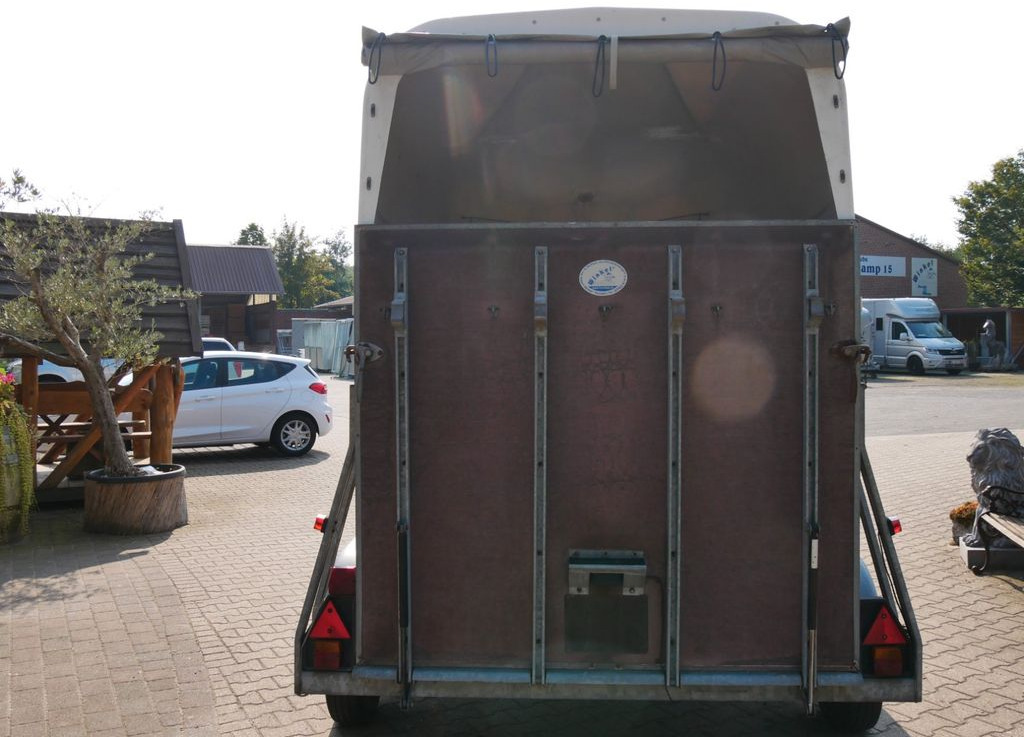 Horse trailer Holz Poly  2 Pferde: picture 7