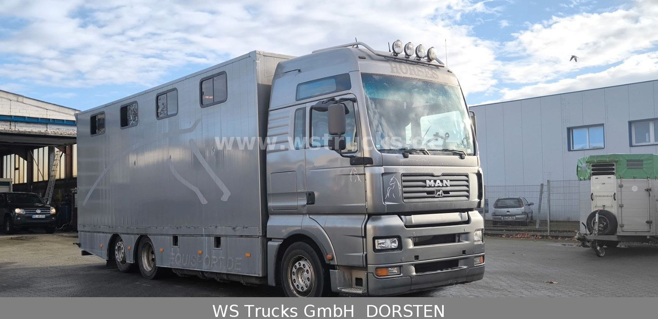 MAN TGA 26.480 FG 6x2 Pferdetransporter Luft/Luft - Horse truck: picture 3 MAN TGA 26.480 FG 6x2 Pferdetransporter Luft/Luft - Horse truck: picture 3