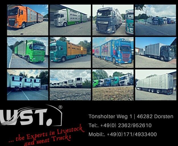 Menke-Janzen Menke 3 Stock Ausahrbares Dach Vollalu Typ 2 - Livestock trailer: picture 4 Menke-Janzen Menke 3 Stock Ausahrbares Dach Vollalu Typ 2 - Livestock trailer: picture 4