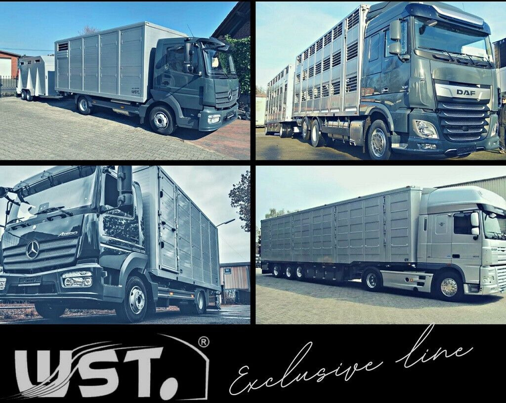 Car Mercedes-Benz Sprinter II Kasten 216 CDI Hoch/Lang: picture 15