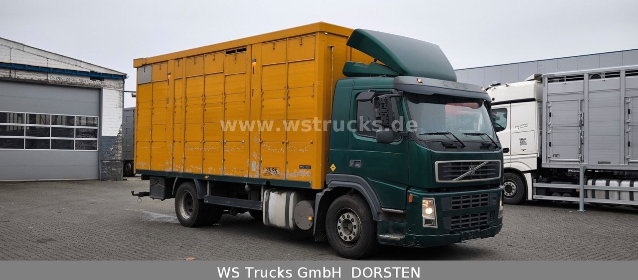 Volvo FM 260 mit KABA 2 Stock Vollalu - Horse truck: picture 3 Volvo FM 260 mit KABA 2 Stock Vollalu - Horse truck: picture 3
