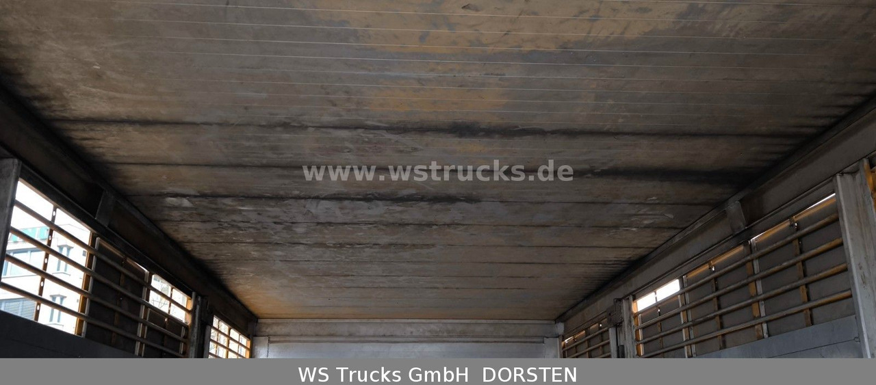 Horse truck Volvo FM 260 mit KABA 2 Stock Vollalu Viehtransporter: picture 13