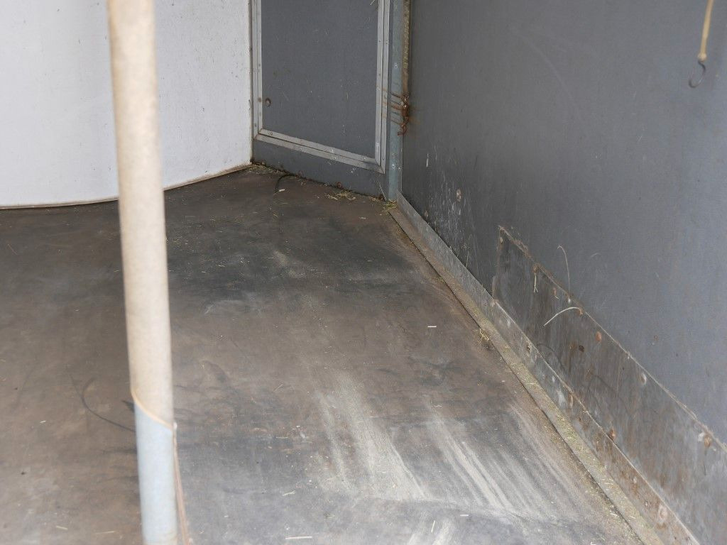 Westeria 2 Pferde - Horse trailer: picture 5 Westeria 2 Pferde - Horse trailer: picture 5