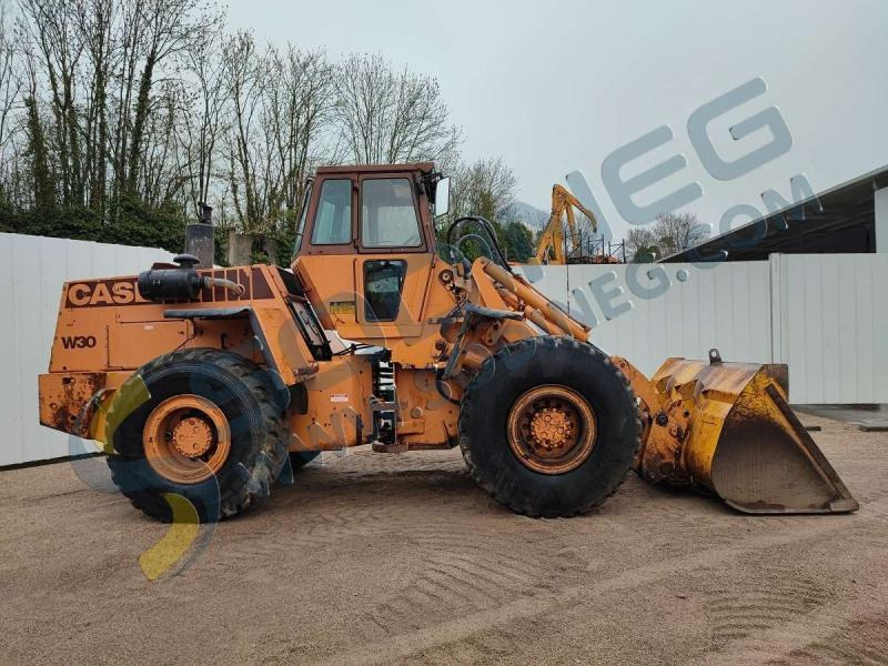 Wheel loader Case W30: picture 7