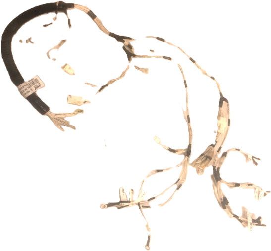 Wire Set for Caterpillar - Cables/ Wire harness for Material handling equipment: picture 1 Wire Set for Caterpillar - Cables/ Wire harness for Material handling equipment: picture 1